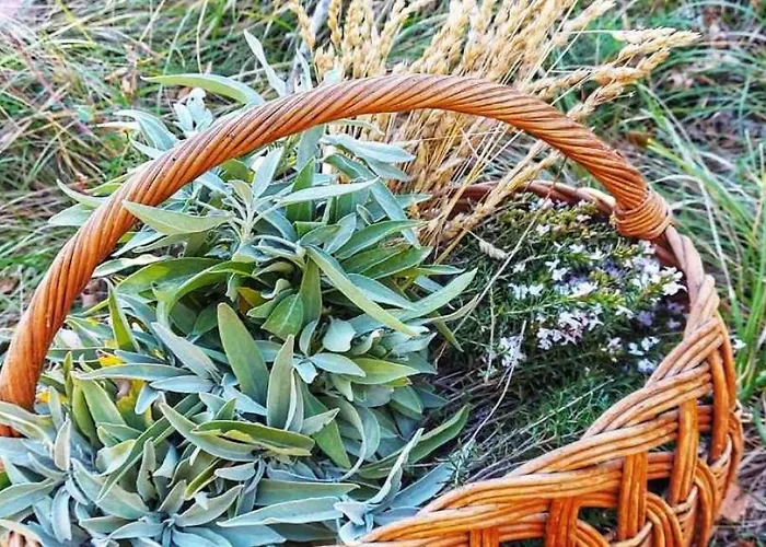 فيلة Aria With Pool By Guide *